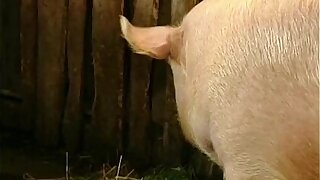 Brunette Lady Farmer Hairy Pussy Be obstructive Fucked